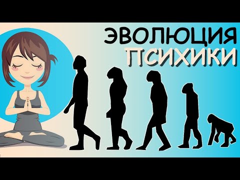 Эволюция Психики