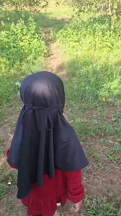 Panen Jeruk manis di kebun 😍🍊 #shorts #trending #kebunjeruk #berastagi #viral