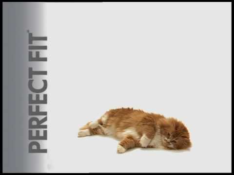 Perfect Fit 2009 narrated by Alexey Sokolov in Rus...