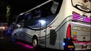 Story WA||cinematic bus sudiro tunggal jaya(STJ) free download video [mediafire] ~Gabut Story