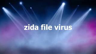 Zida File Virus