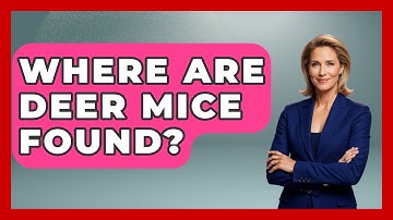 Where Are Deer Mice Found? - Insects and Invaders