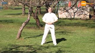 Download Lagu Солнечный Цигун - Sunny Qigong - Saulains Ciguns MP3