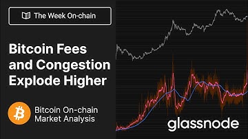The Week On-chain: Bitcoin Fee Pressure Explodes Higher - Week 19, 2023 (Bitcoin Onchain Analysis)