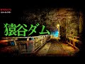 【心霊】猿谷ダムで起きたこと…//奈良県心霊スポット