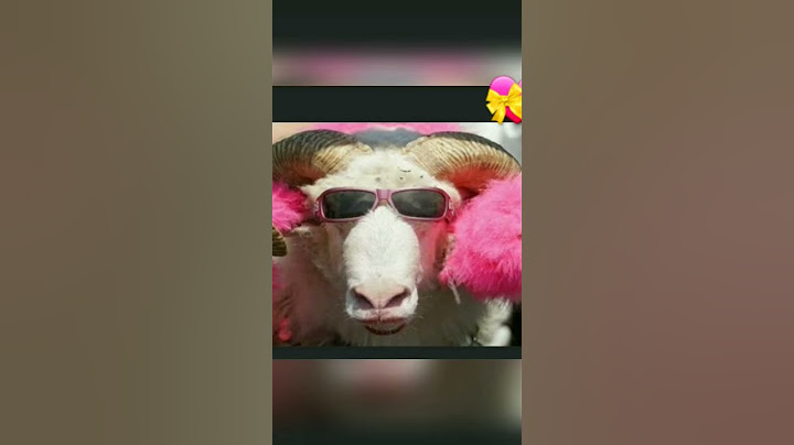 اغنية كبش العيد🤣😂💜💙