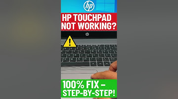 Laptop Mouse & Keyboard FIXED