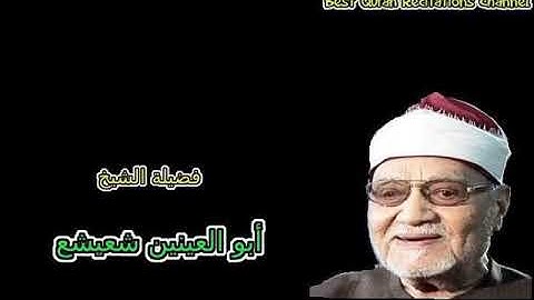 ما تيسر من سورة القصص - فضيلة الشيخ ابو العينين شعيشع