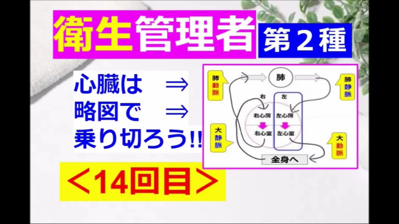 ★Краткое содержание★【Менеджер по санитарии】Часть 14 [Тип 2]: Давайте разберем суть с помощью диаг...