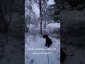 The snow was gone by the morning though