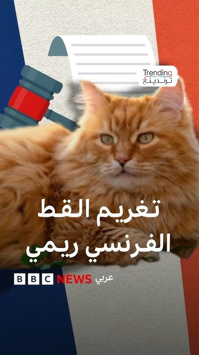       ..  
 - نشر قبل 33 دقيقة