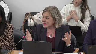 28-01-2026 | Audição regimental da Ministra da Cultura, Juventude e Desporto | Elza Pais