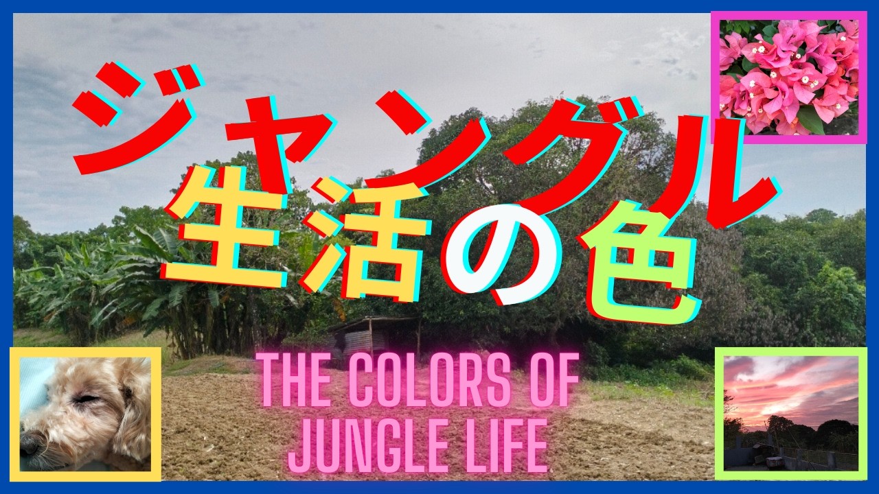 ジャングル生活の色　The colors of jungle life
