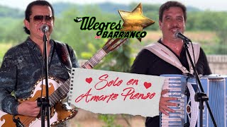 Solo En Amarte Pienso - Los Alegres Del Barranco