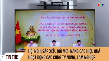 Hội nghị sắp xếp, đổi mới, nâng cao hiệu quả hoạt động các công ty nông, lâm nghiệp