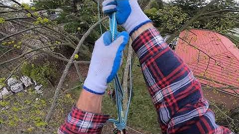 Arborist Techniques #6: Using Redirects for Limb Walking