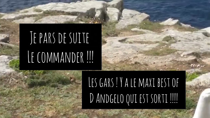 Le maxi best of d'Andgelo le goéland vient de sortir !!!