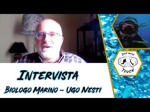 Video: Un biologo marino è uno scienziato?