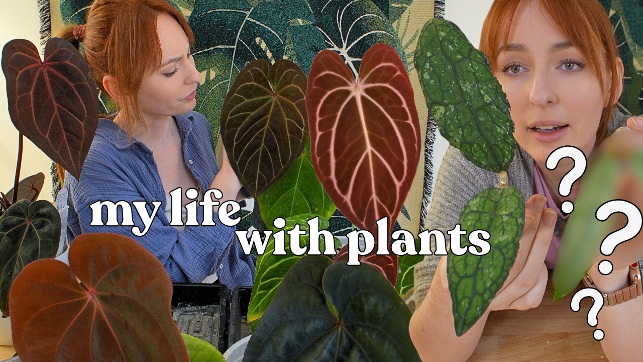 I got a content strike and a wishlist hoya! 🫣 unboxings, packing plants, & life 🌿