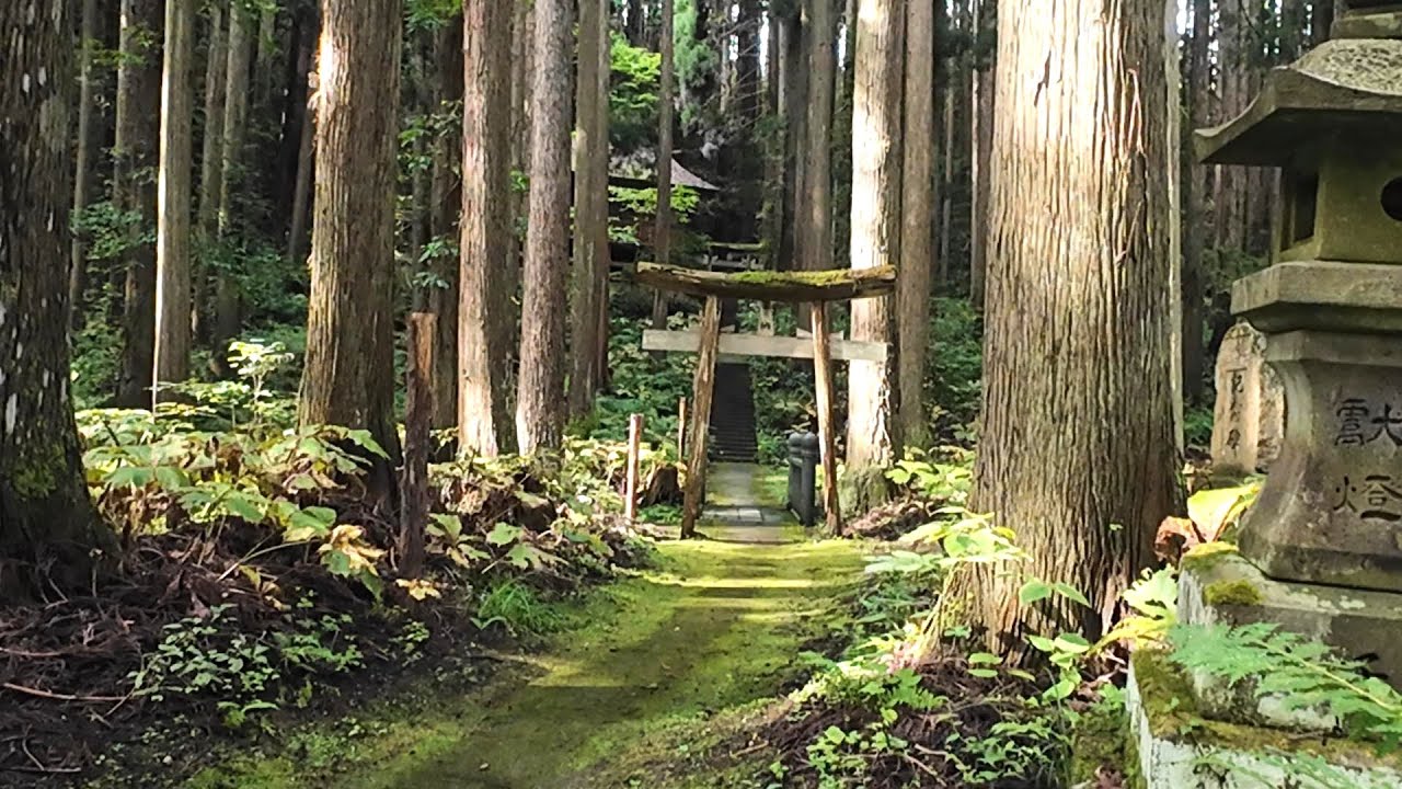 V3f@ Original Gregorian / Forest Ambience / 432Hz / Healing BGM