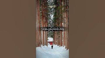 تلاوة هادئة بصوت مريح من سورة الحجر