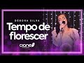 Dbora silva  tempo de florescer  ep autoral vdeo oficial 02