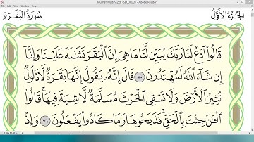 تمرین قرائت با تجوید صحیح - صفحه 11 (سوره بقره)