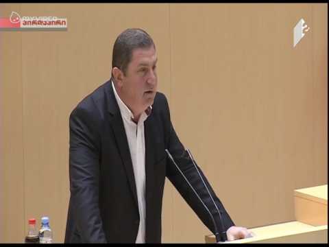 გიგა ბუკიას გამოსვლა პარლამენტის პლენარულ სხდომაზე
