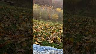 ein magischer Ort #magisch #entspannt