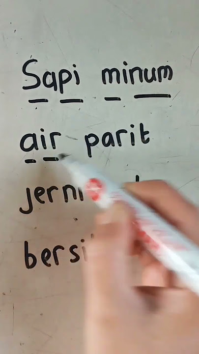 Latihan membaca kalimat 5 huruf lagi #membaca #kalimat #sd #tk #belajar #bahasaindonesia #kata