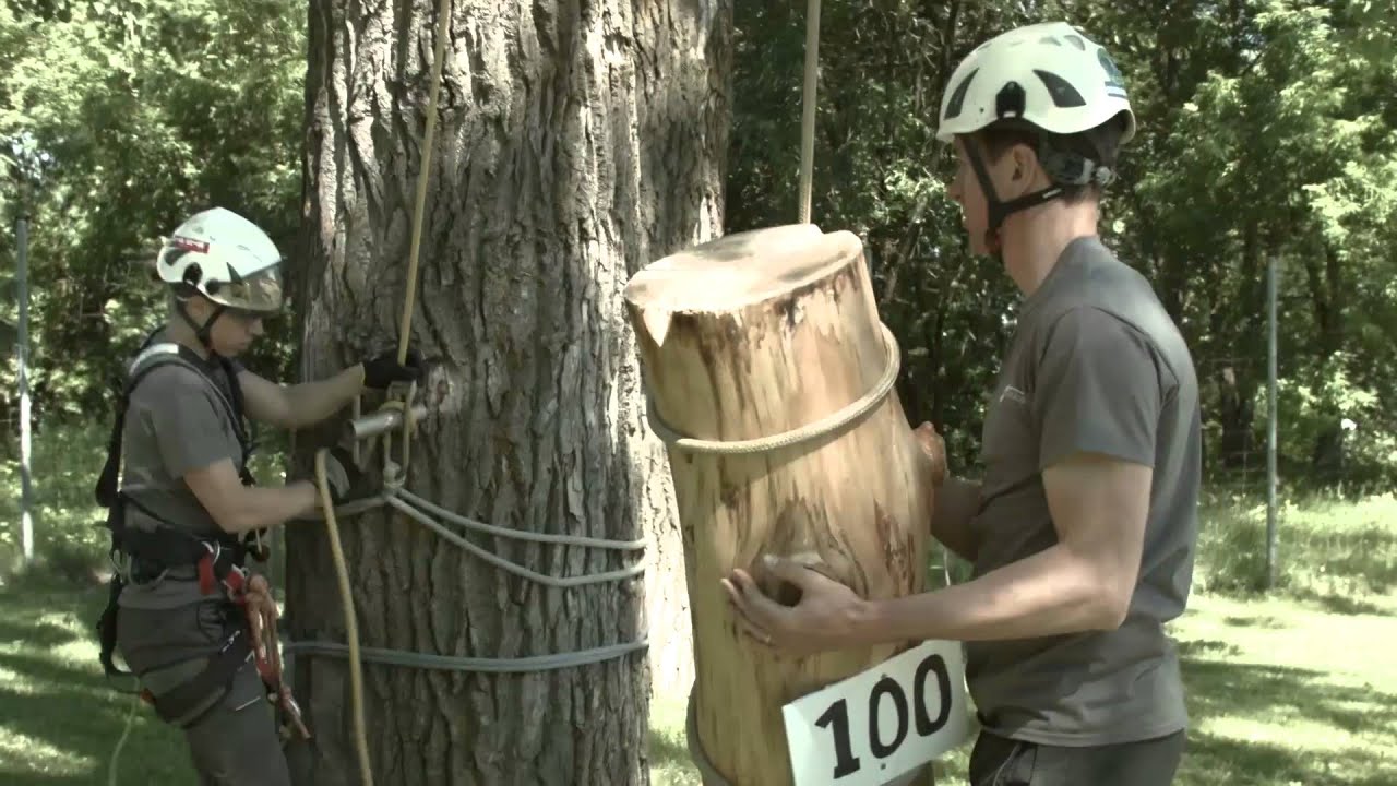 Fiche metier arboriculteur