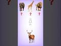 99% People Fail This Animal Challenge 🤯 #shorts