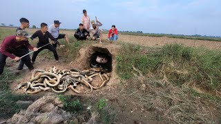 The scream of a young man when encountering a strange dragon snake nest