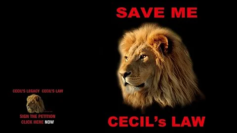 Brian May & Kerry Ellis - Born Free (Cecil's Versi...