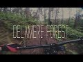Delamere Forest | RAW