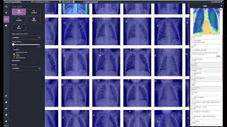 Visually scrutinising datasets with Zegami