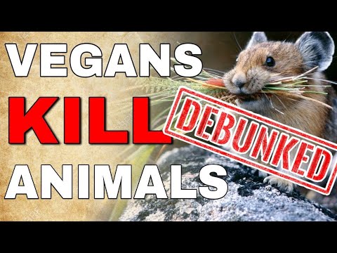 Debunking: Does Cultivation Kill More Animals Than Livestock