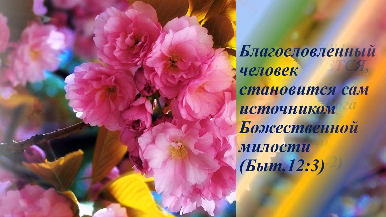 Благословляю вас на все стороны. Христианские открытки с благословением. Христианские пожелания Божьих благословений. Открытки с христианскими пожеланиями и благословениями. Благословение.