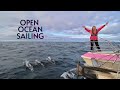 OFFSHORE PACIFIC SAILING WITH DOLPHINS [Ep. 14]