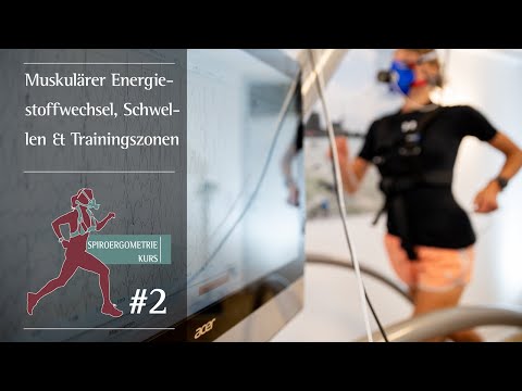 #2 Trainingszonen, aerobe und anaerobe Schwelle