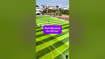 Công đoạn đánh HẠT CAO SU cho sân cỏ nhân tạo như thế nào? #conhantaofoba #thicongsanconhantao