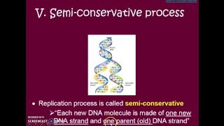 DNA Replication (Theme 2 Topic 4 pg 2)