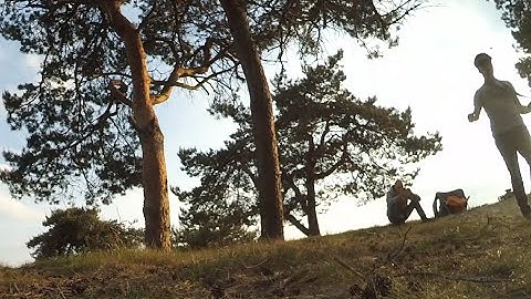 Hoverthings Flip 260 - Quadcopter forest FPV uncut proximity flying 60FPS Cleanflight PIDC1