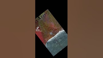 Wraith thought she was the Main Character | Apex Legends funny moments