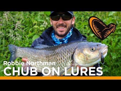Chub Fishing on