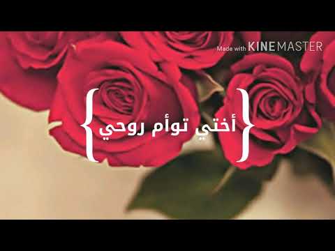 أختي توأم روحي