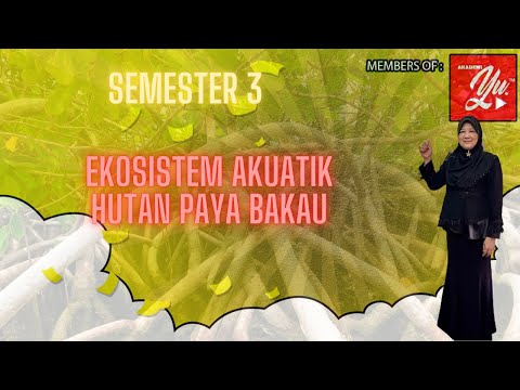 EKOSISTEM AKUATIK PAYA BAKAU