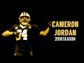 Cameron Jordan 2018 Highlights | "Juggernaut" ᵂᴰ⁴ᴸ