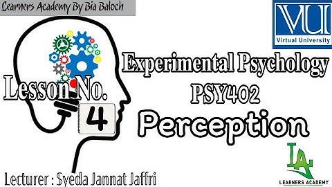 Experimental Psychology (PSY402) VU | Lecture No. 4 | Learners Academy By Bia Baloch