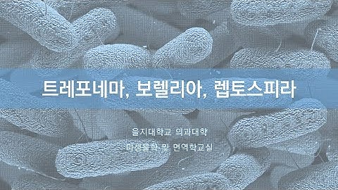 제37장 트레포네마, 보렐리아, 렙토스피라20200929